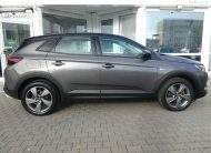 OPEL Grandland X Kamera LED Spurleitassistent Temp.