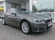 BMW 530d Luxury Line LED HeadUp Keyless 360°Cam Soft