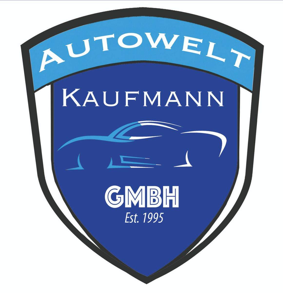 VW T6 Transporter 9-Sitzer Navi Kamera HUD EcoProfi