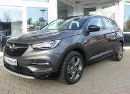 OPEL Grandland X Kamera LED Spurleitassistent Temp.