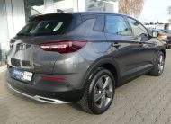 OPEL Grandland X Kamera LED Spurleitassistent Temp.