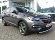 OPEL Grandland X Kamera LED Spurleitassistent Temp.