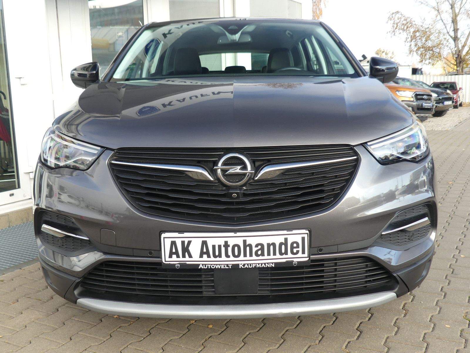OPEL Grandland X Kamera LED Spurleitassistent Temp.