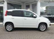 FIAT Panda Lounge Cross Benzin/CNG PDC Klima Sitzhzg.
